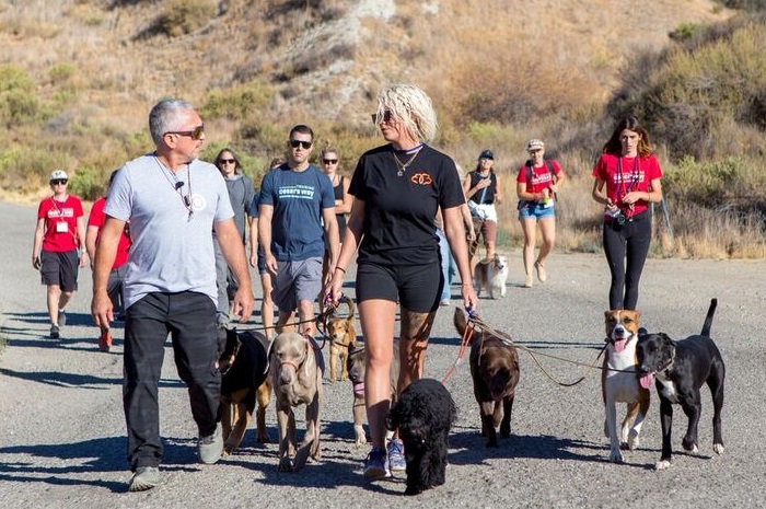 dog trainer in Boston