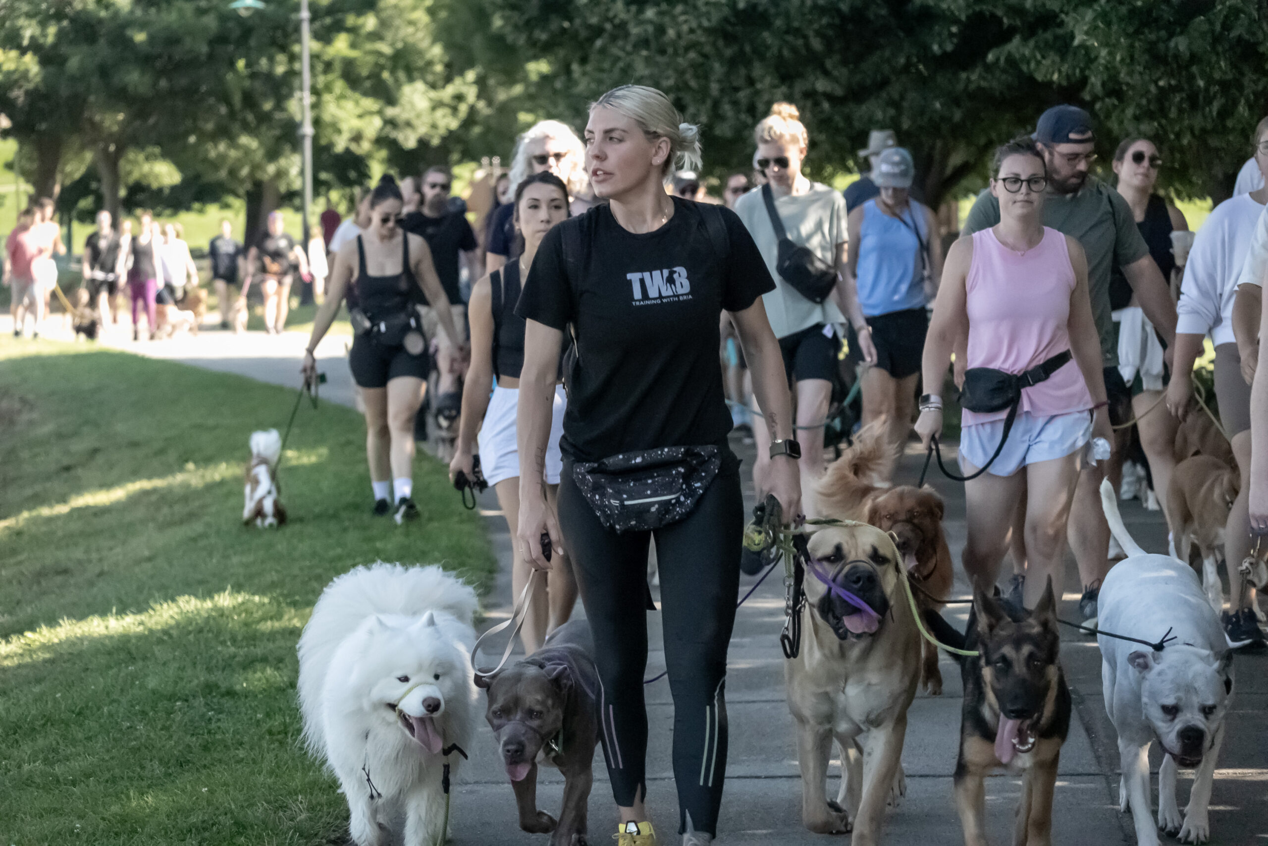 IMG_1059 dog trainer in Boston
