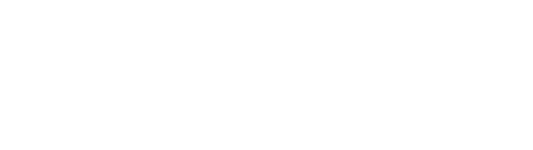 dog trainer