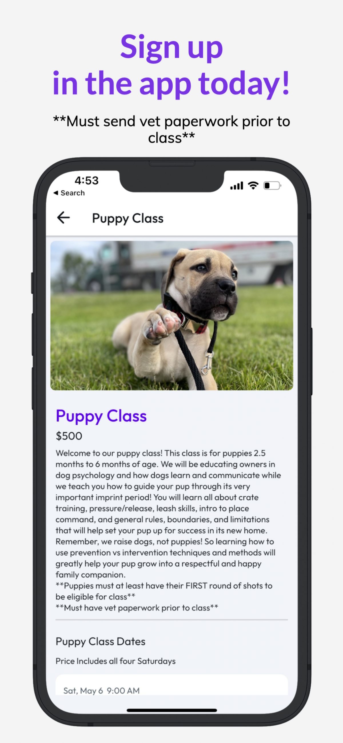 Puppy Class – Training With Bria